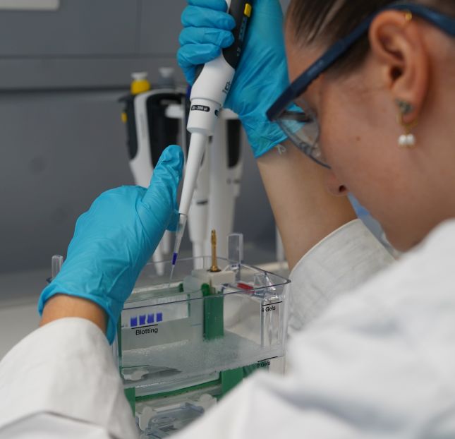 D_student measuring - Kopie