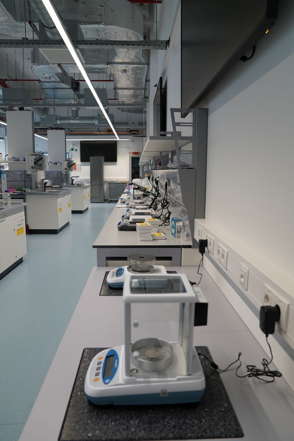 N_Portrait_Lab_Pic_Cut