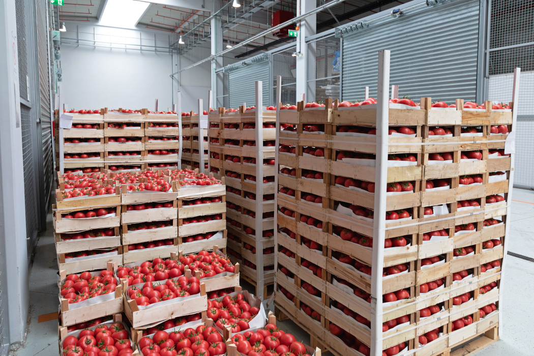 tomaten-frachtkisten