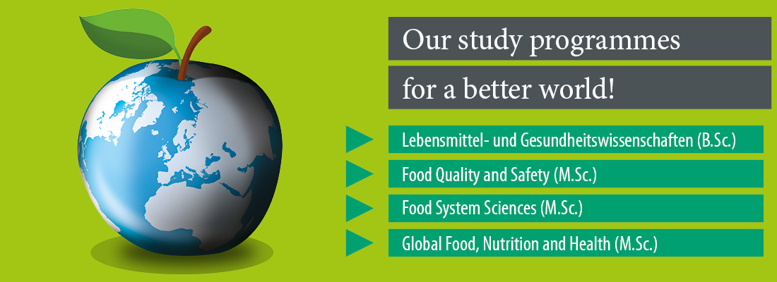 our study programmes