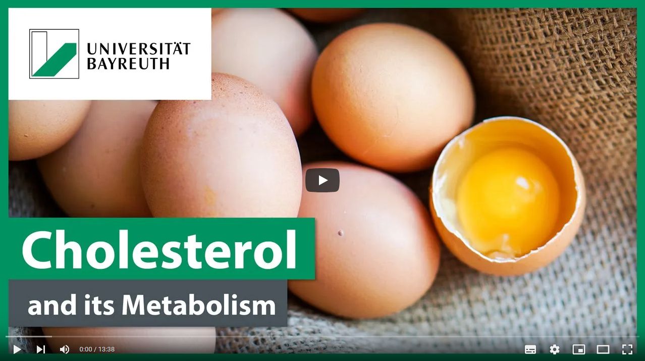 Mini-lecture cholesterol