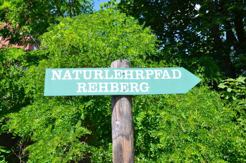 Rehberg (6)
