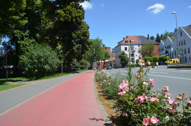 Stadtpark (6)