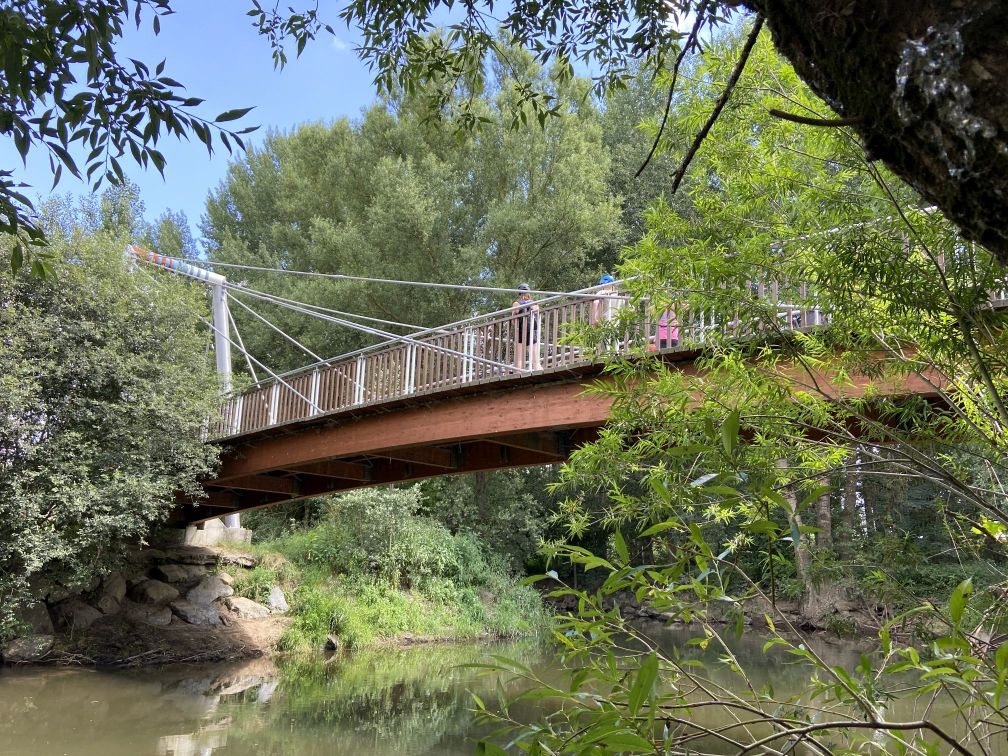 Bruecke und Mainzusammenfluss