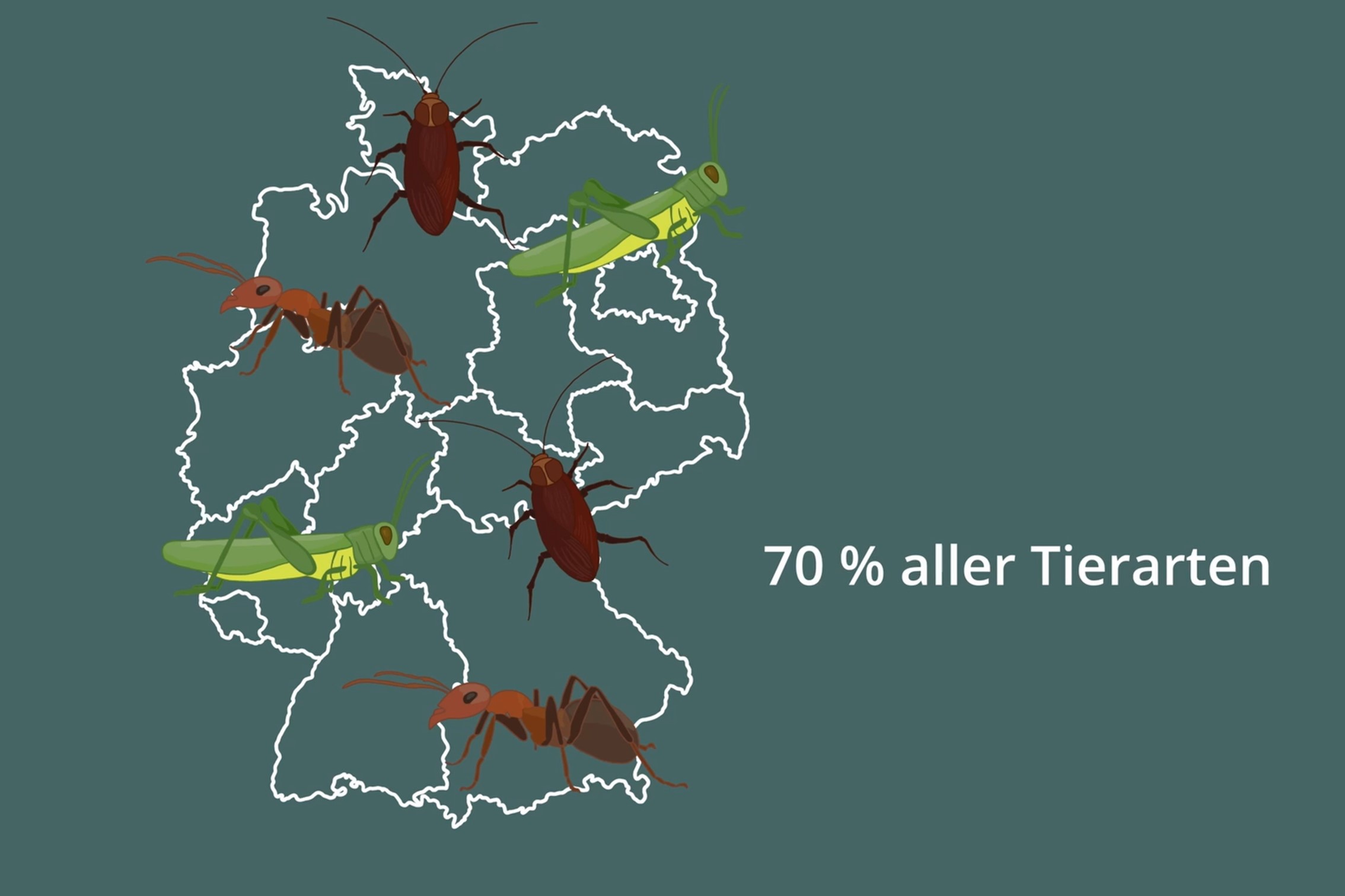 Insekten